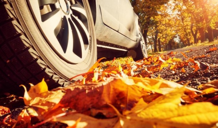 7 نصائح من الخبراء الألمان لتجهيز السيارة لاستقبال فصل الخريف